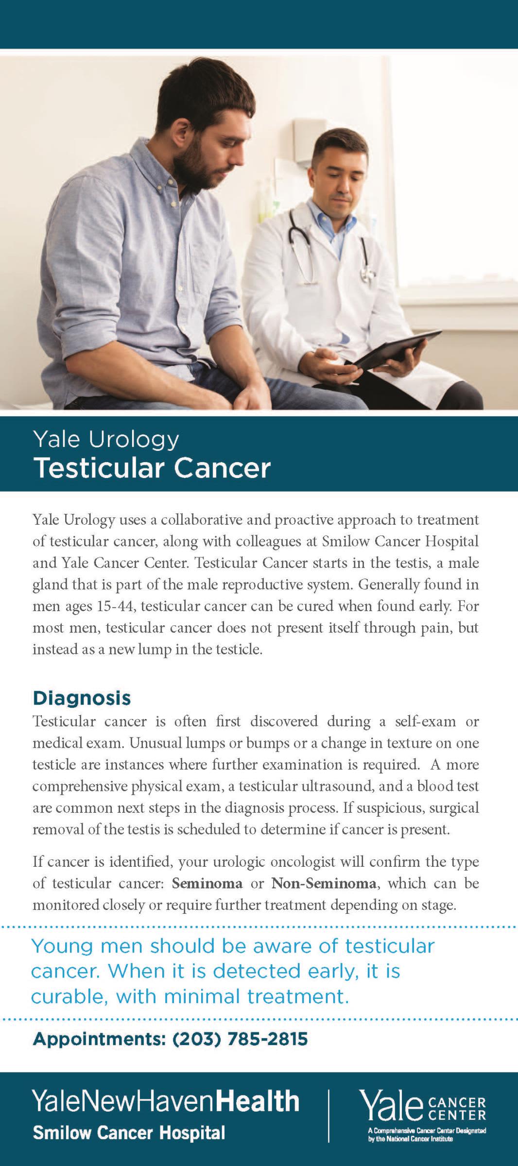 Test testicular cancer Testicular Cancer